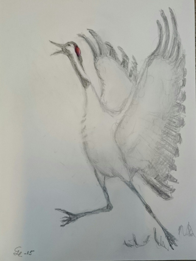 4. Våryra